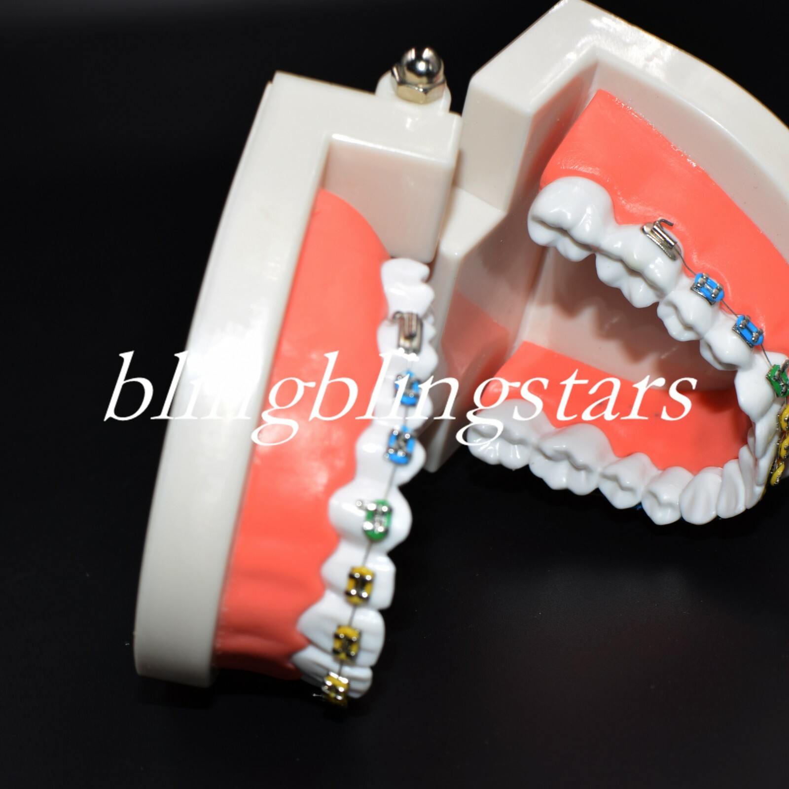 Dental Orthodontics Standard Tooth Model Bracket Ligature Buccal Tube Tie