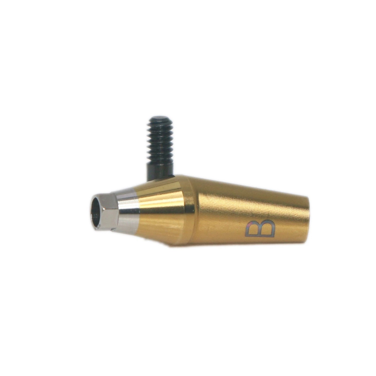 Angulated Anatomic abutment 30°Mini/Regular B Type for Hiossen Osstem TS Implant