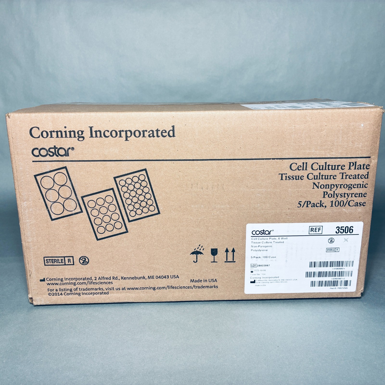 Corning 3506 Cell Culture Plate 6-Well TC Treated Case of 100 Plates