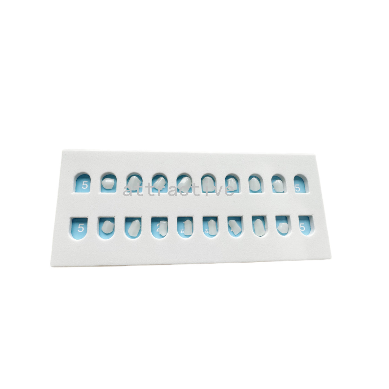 Dental Composite Veneer Template Model Practise Veneers Dentist Teaching 1Set