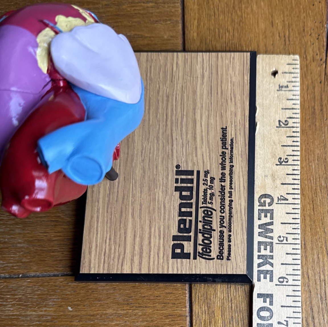 3D Model Anatomical Human Heart Drug Rep Plendil Pharmaceutical Advertising