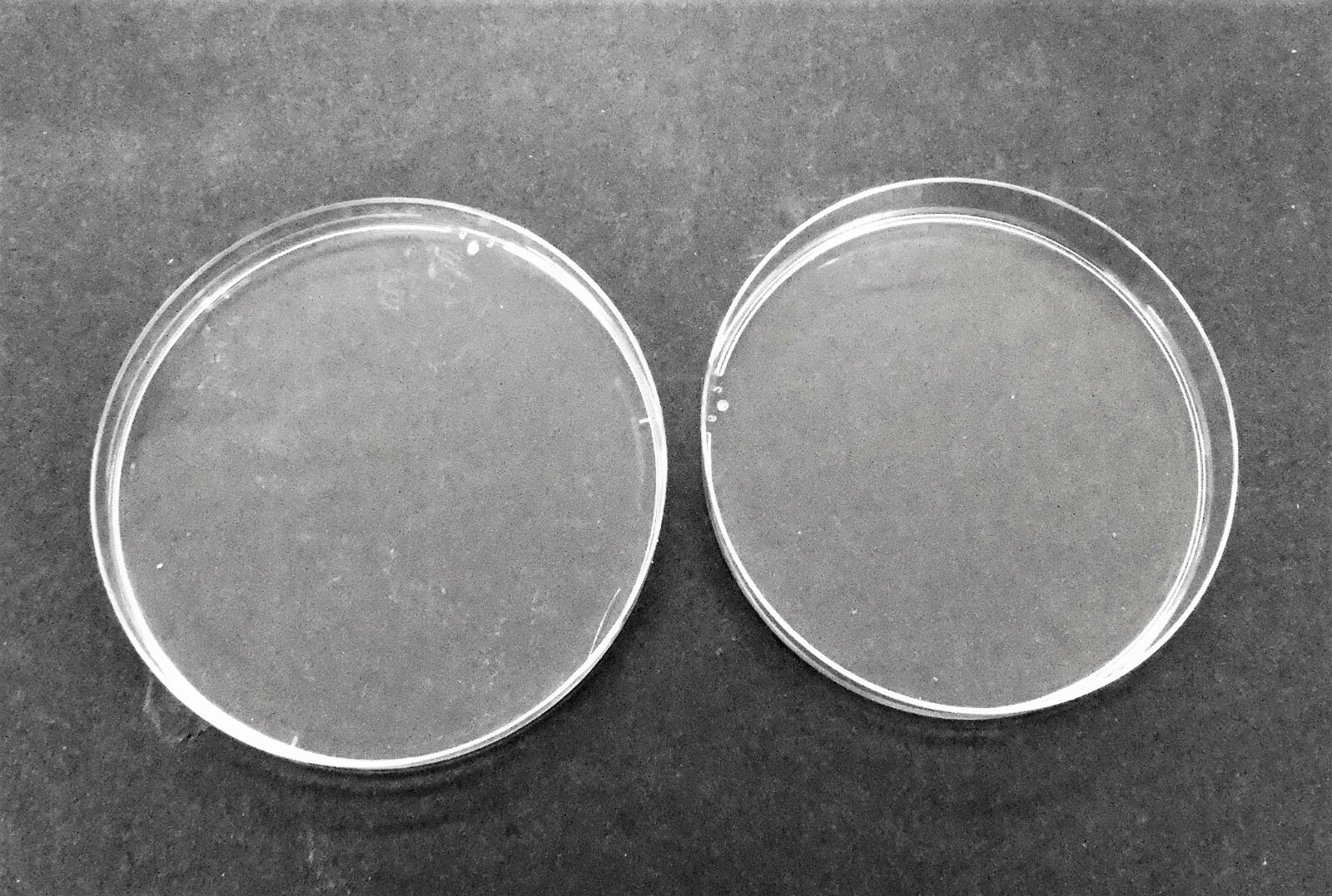 DISPOSABLE CORNING SB93-101 PETRI DISHES, (33 PACK) STOCKED IN USA 90mm, 3 VENT