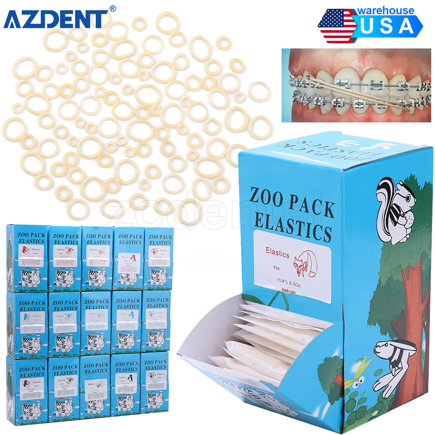 Bandas de goma de ortodoncia dentales Tirantes de látex elásticos 3.5/5.0/6.5OZ