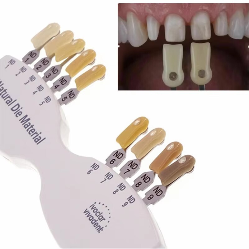 1 Set Dental Shade Guide ND1-9 Abutment 9 Colors IPS Natural Die Material Tooth
