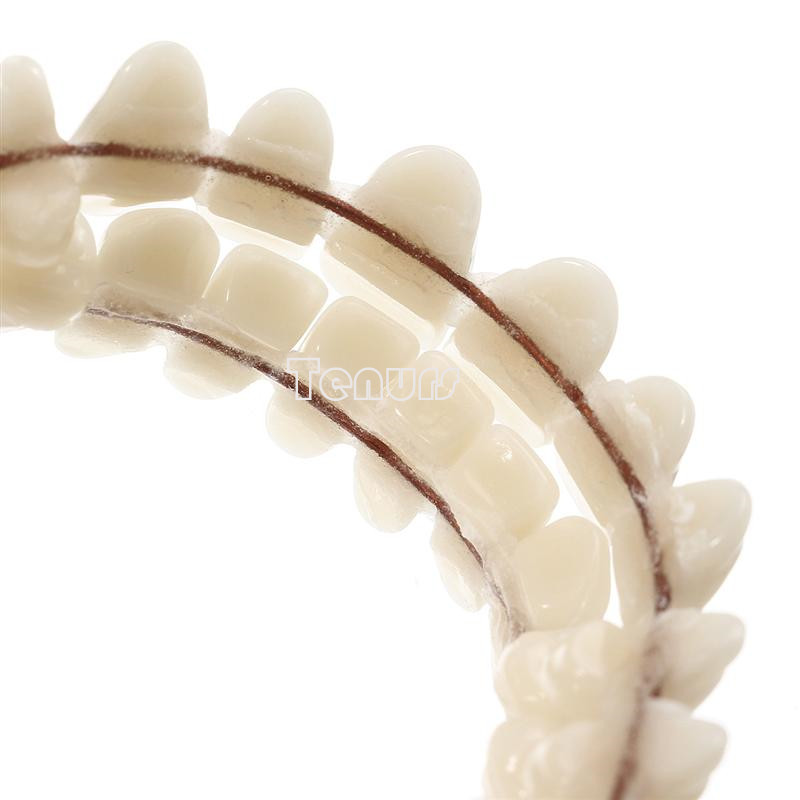 10sets Resin Teeth 23 #A2 Denture Manufactured Artificial Preformed Dentition
