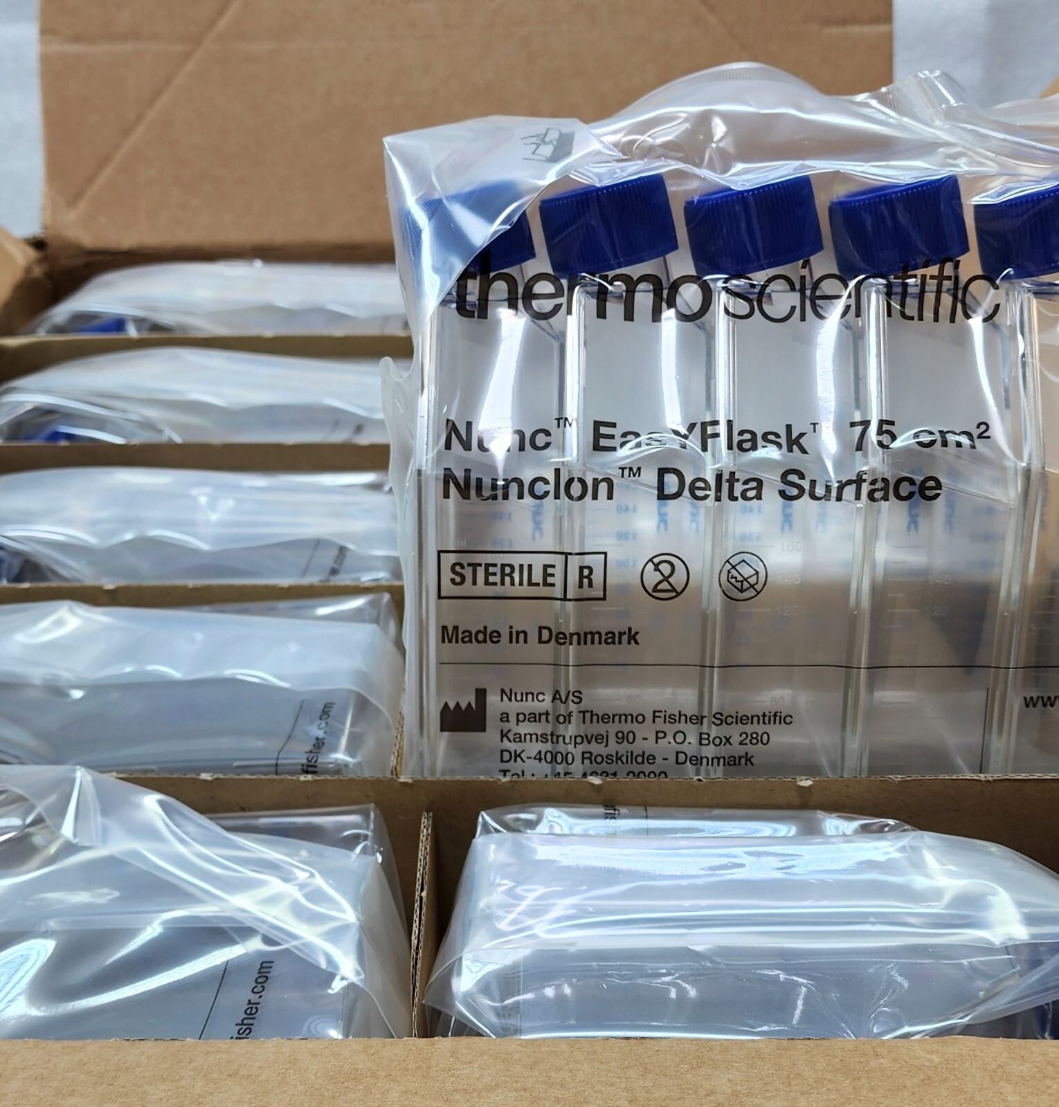 Thermo Scientific Nunc EasyFlask Cell Culture Flasks 75cm2 w/ Filter Cap/ 100cs