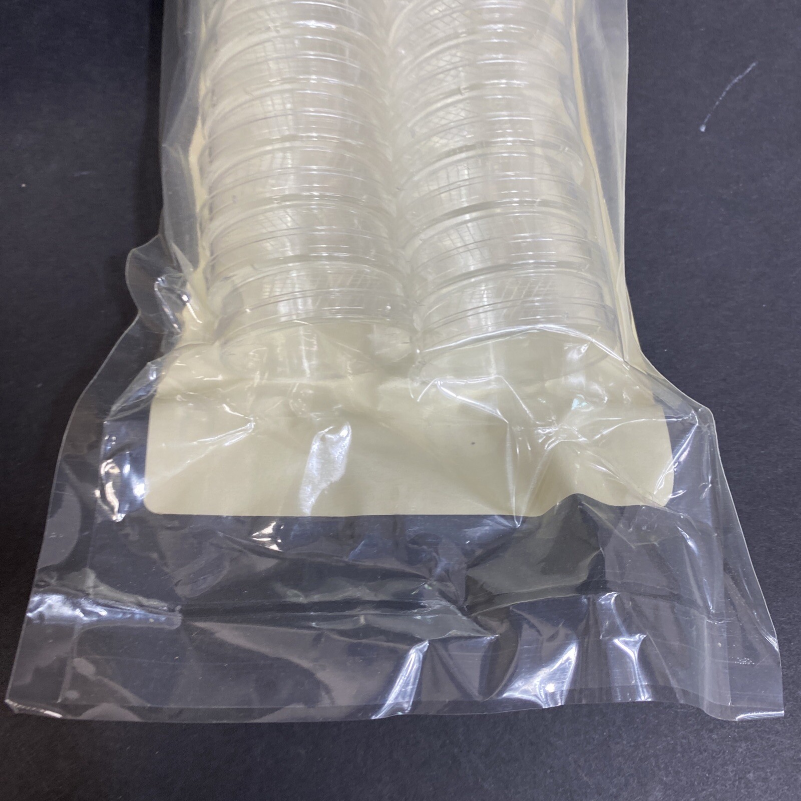 Thermo Scientific Nunc Petri Dish with Lid Total of 200 Dishes