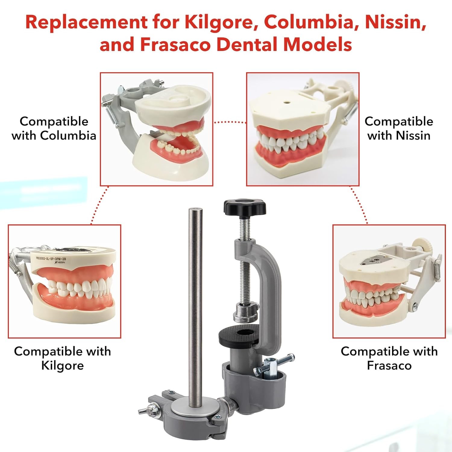 Kilgore Nissin 200 Type Dental Typodont Model+32pc Removable Teeth Mounting Pole