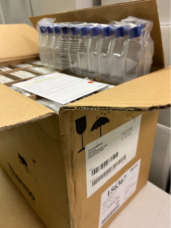 156367 Thermo Sci Nunc EasYFlask, 25 cm SQ Cell Culture, 200/case FREE Shipping