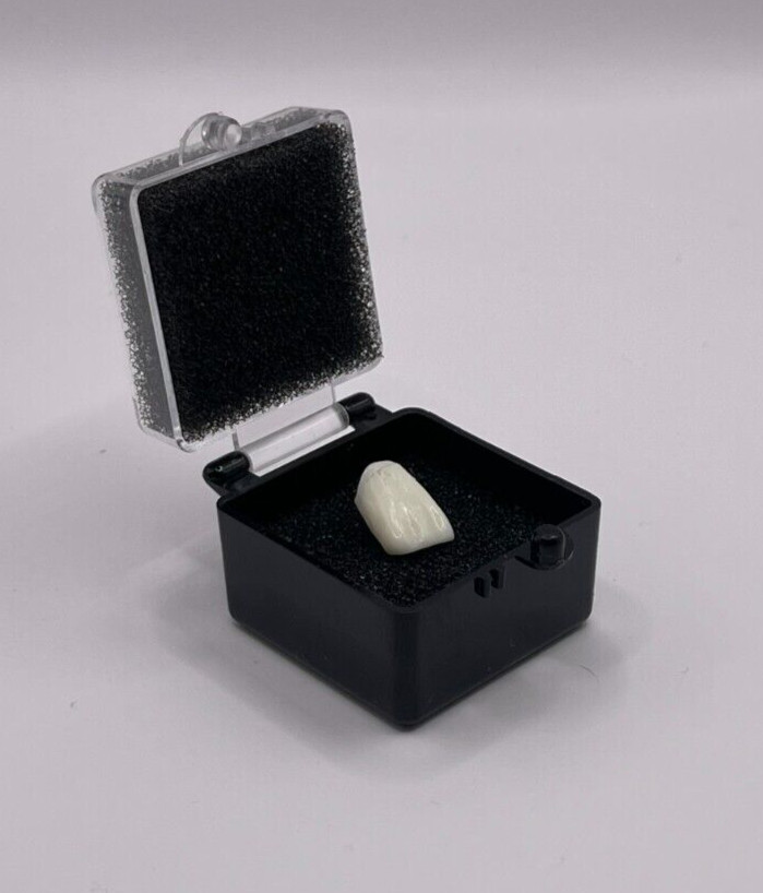 50 Pack, 1″ Black Crown Foam Case Container Hinged Display Box Jewelry Teeth