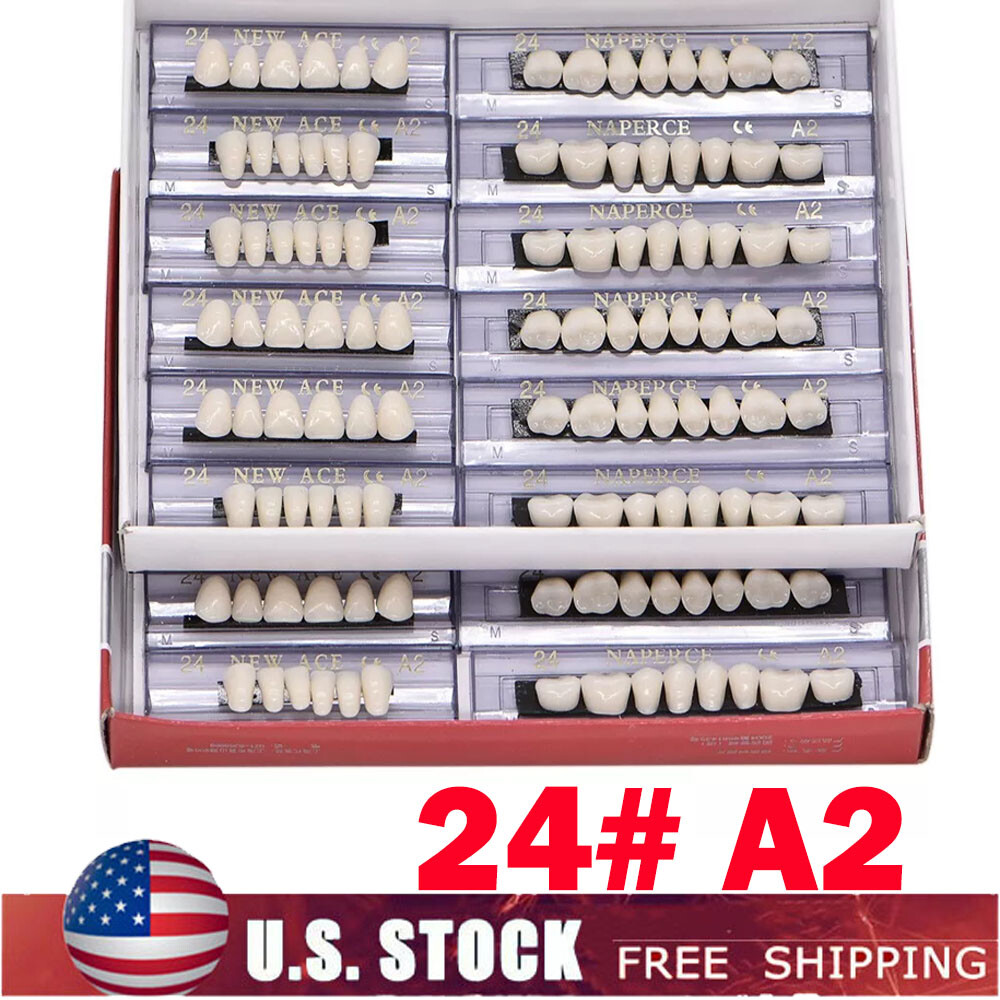 168Pcs/Box Acrylic Resin Denture #24 Dental Upper Lower Shade A2 Teeth Set USA