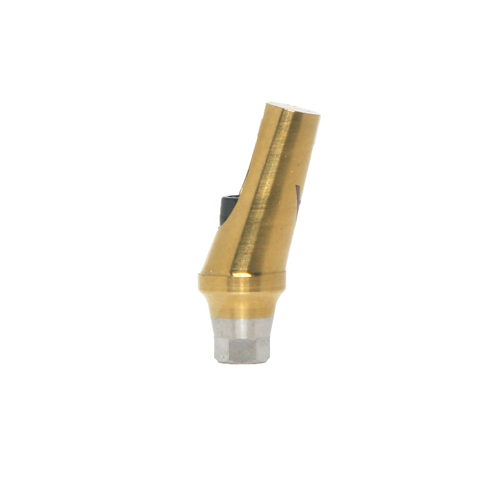 1X Fit Mini/Regular Angled Anatomic Abutment 17° Ti Dental Osstem/TS Hiossen/ET