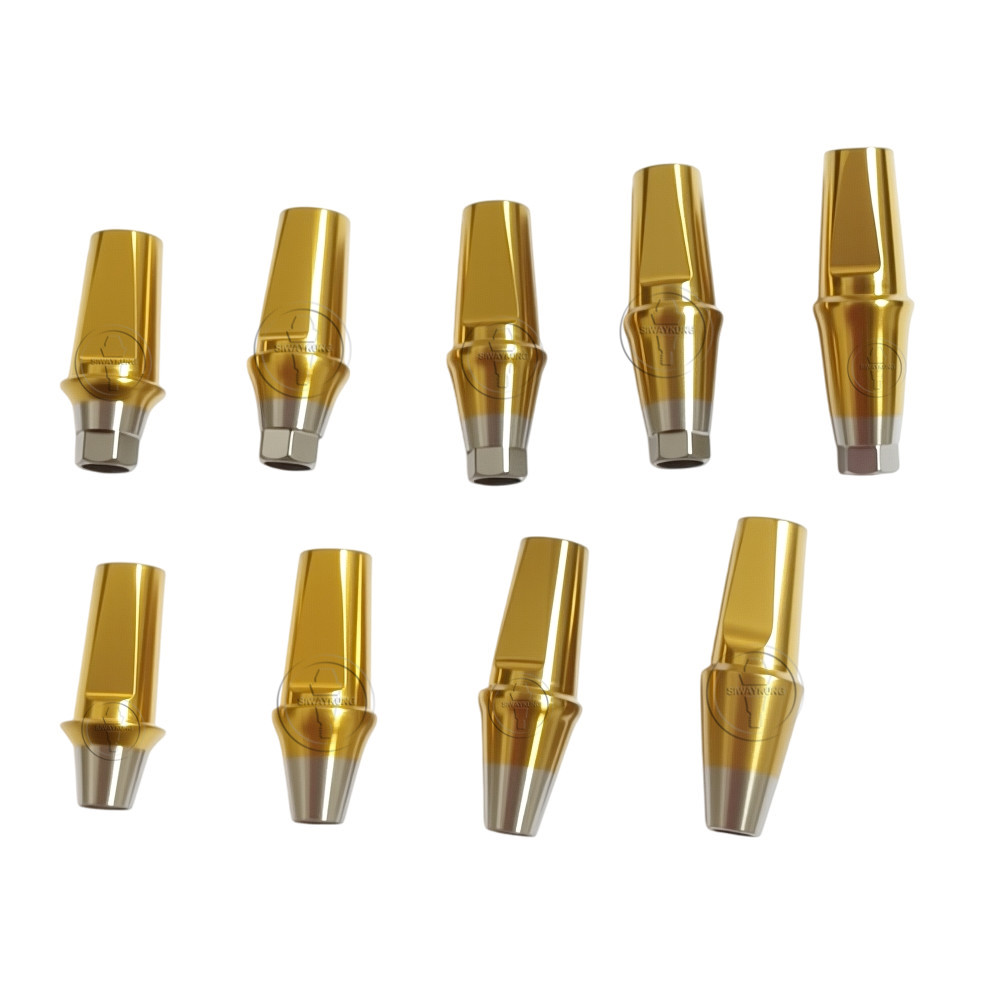5Pcs Straight abutment titanium Dental Fit to Hiossen Osstem TS Mini Regular Hex