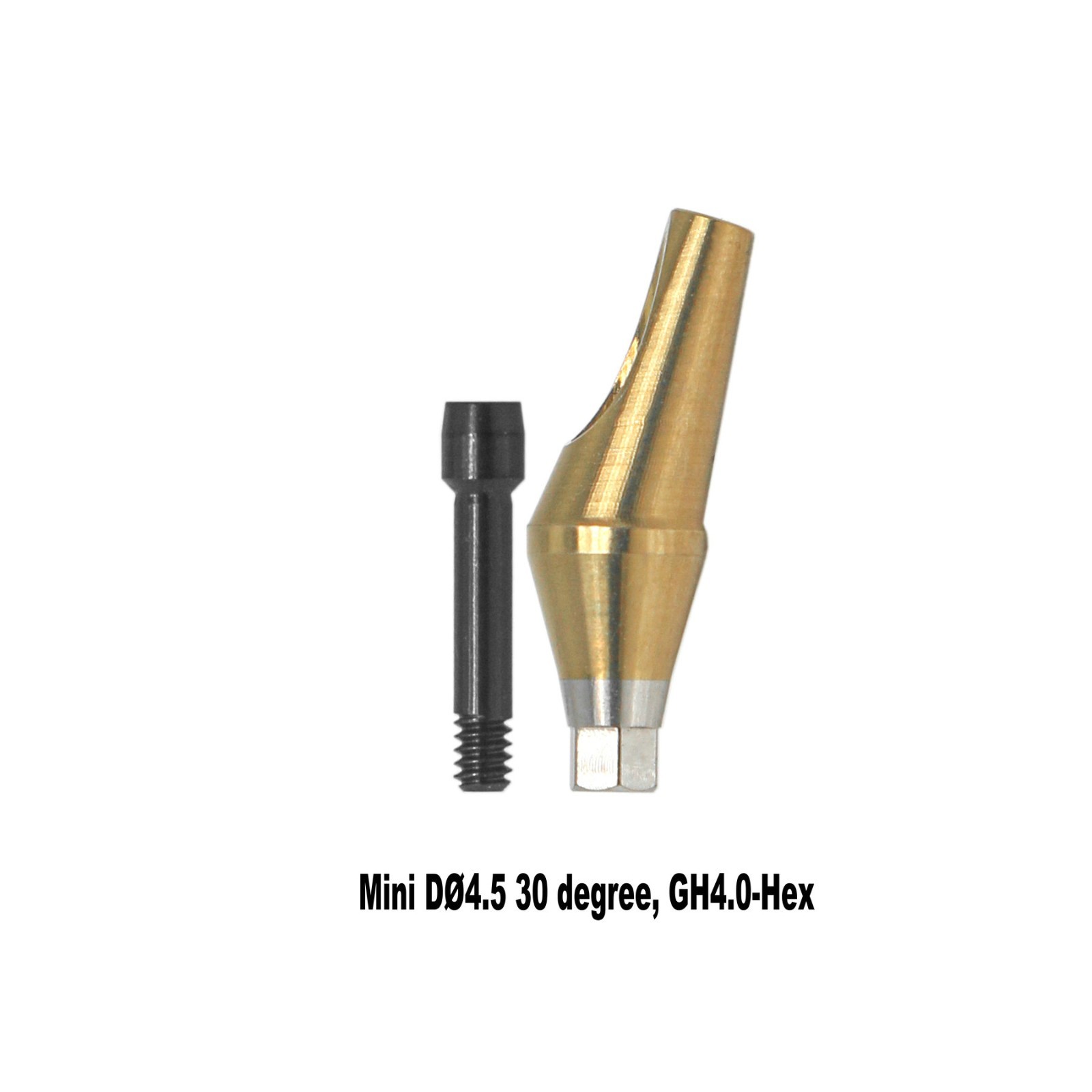 Angled Anatomic Abutment 30° 2/4mm Fits Osstem TS Hiossen Mini Regular Platform