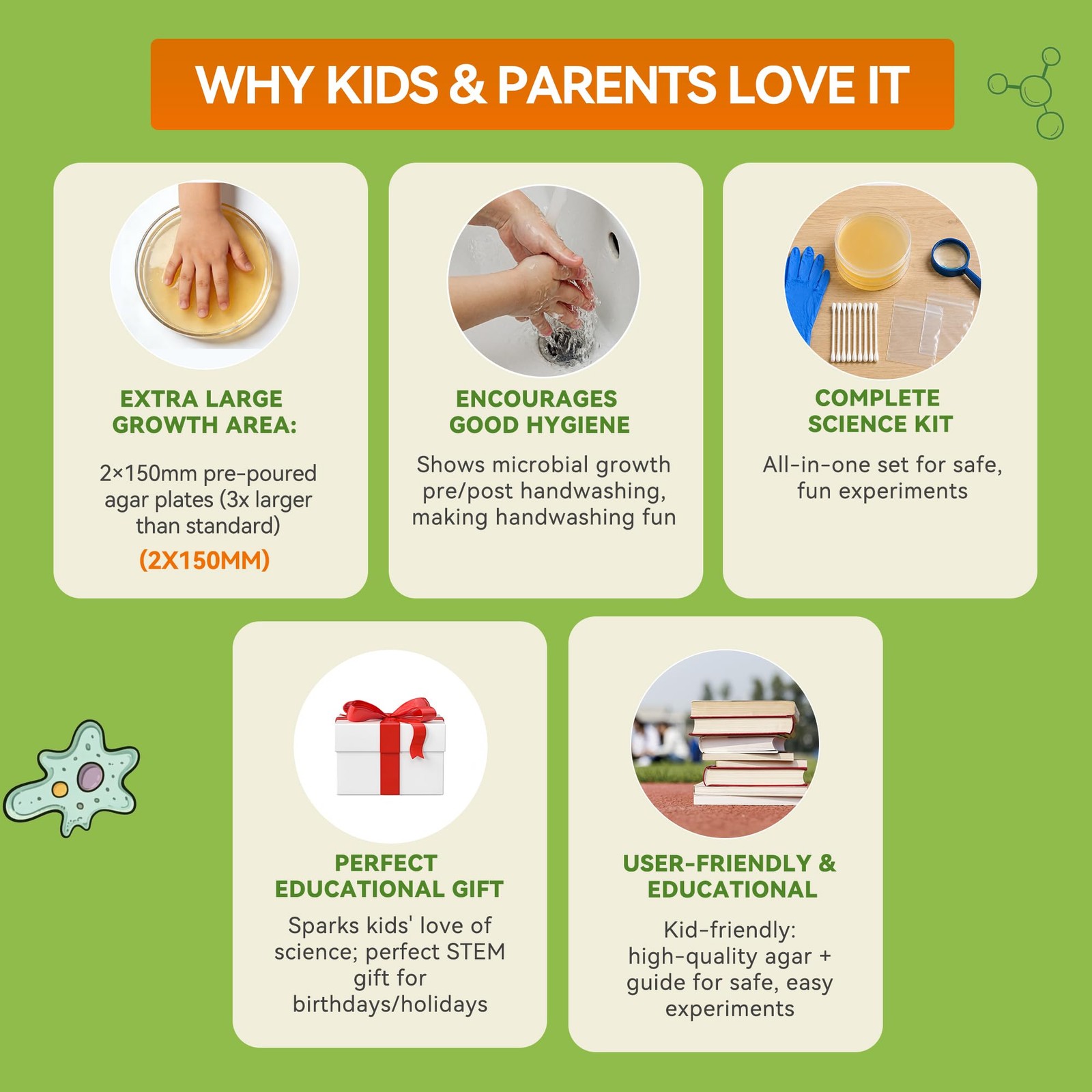 Kids Bacteria Handprint Kit – 2 Giant 150mm Prepoured Agar Petri Dishes
