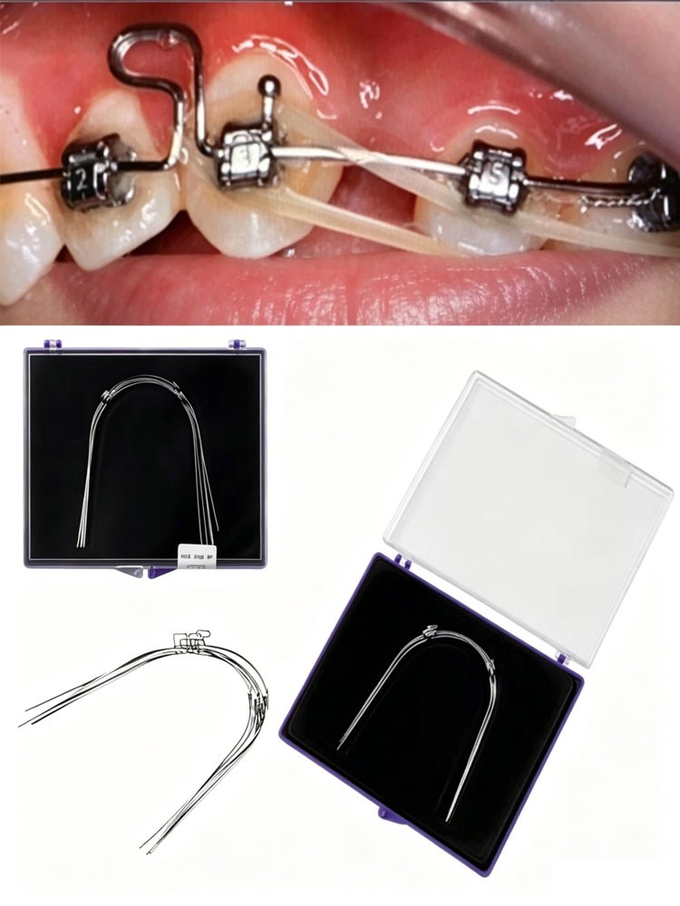 5Pcs New Dental Orthodontic Wrap Around Retainer Hawley Stainless Steel T Loop