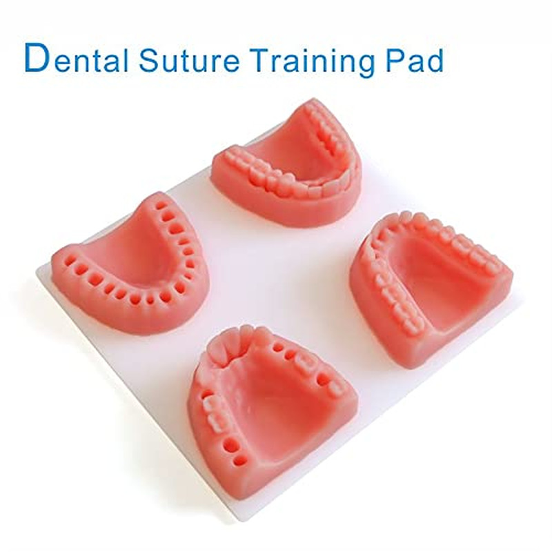 New Generation Dental Suture Pad Practice Kits Oral Suture Training Kits
