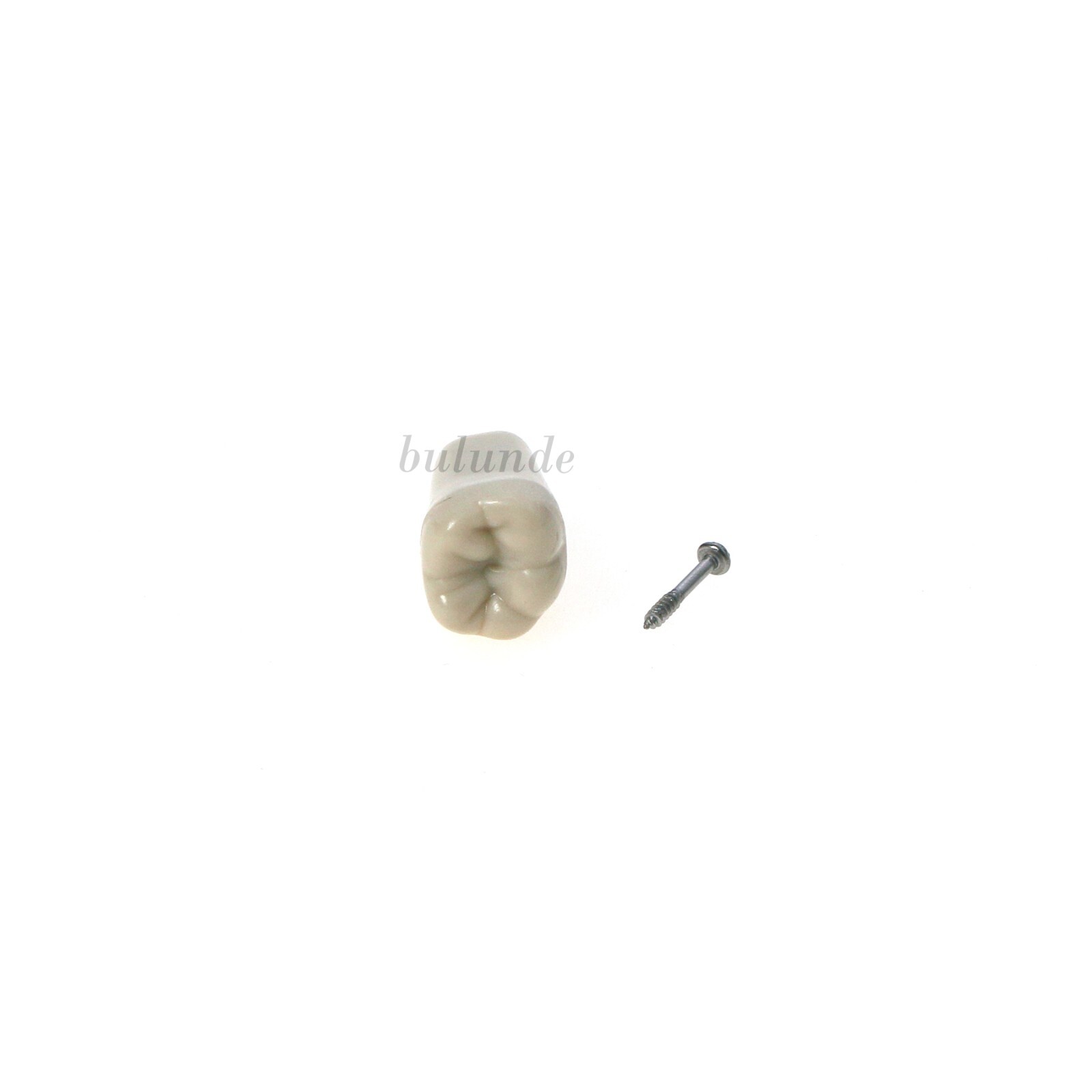 Columbia Dentoform 860 Dental Typodont 32PCS Teeth Replacement Removable