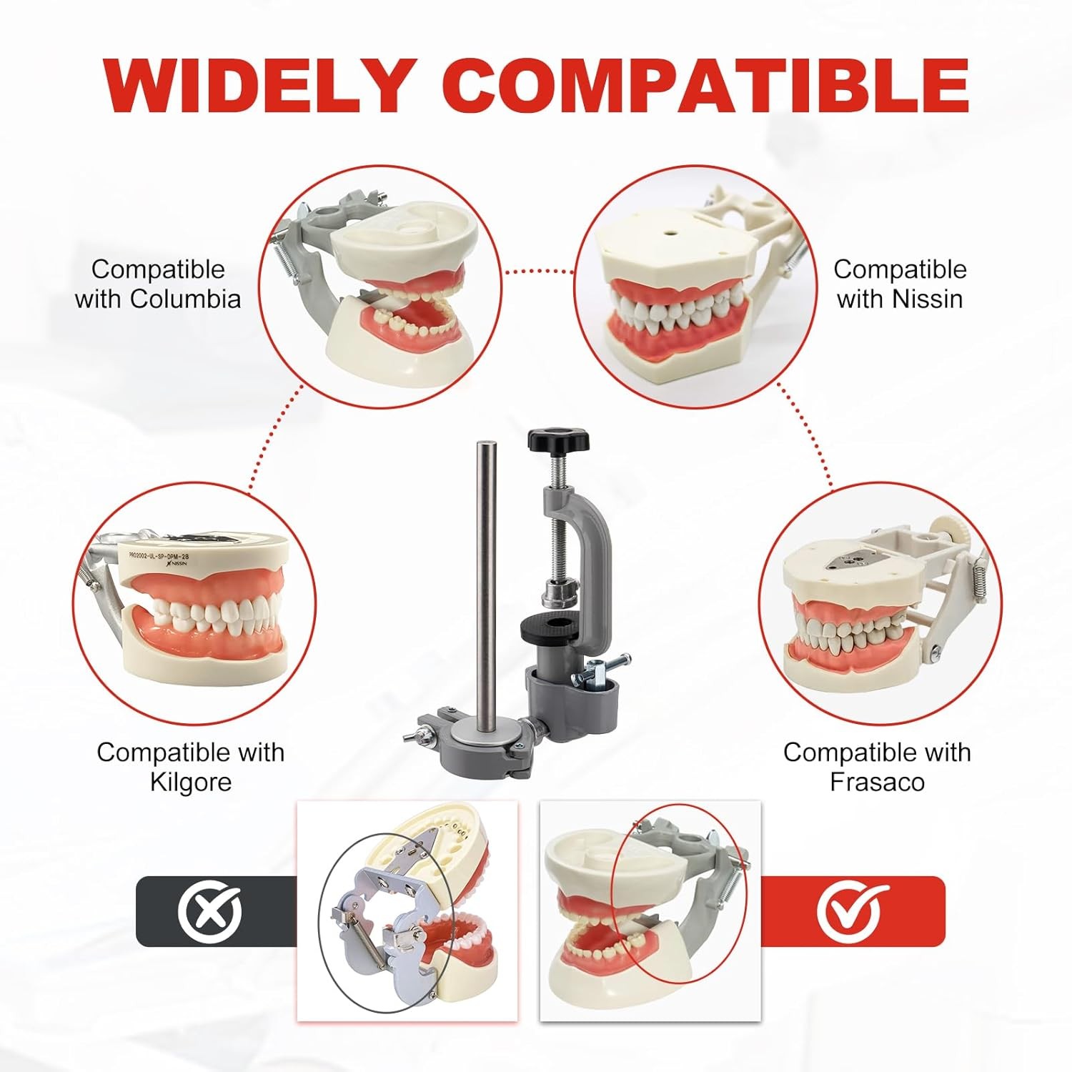 Dental Typodont Mounting Pole Implant Pole 360° Dental Simulator not Teeth Model