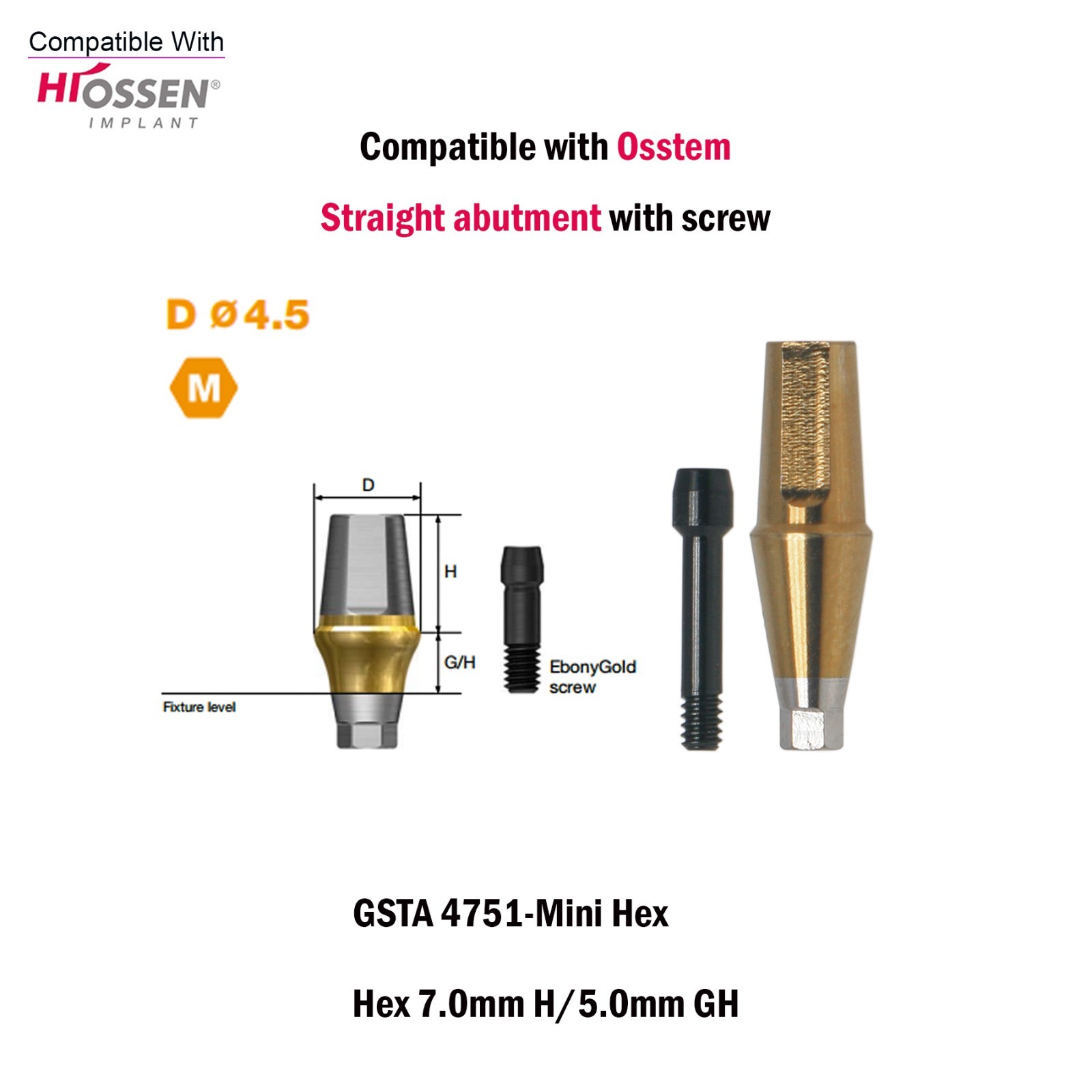 Titanium Straight Abutment Ti Cemented Abutment Compatible Osstem Hiossen TS M/R