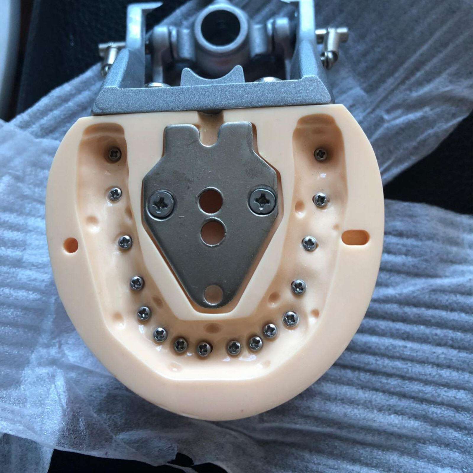 Kilgore NISSIN 200 Type Dental Typodont Model M8012 32Pcs Removable Teeth