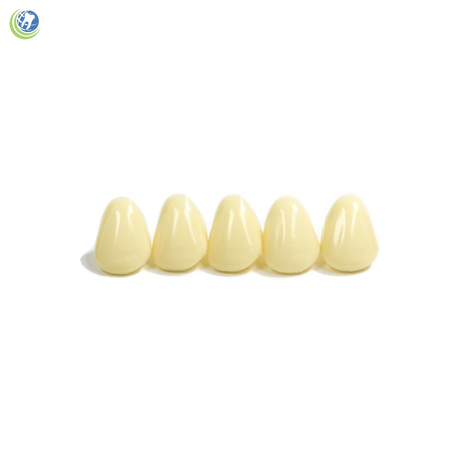 DENTAL POLYCARBONATE TEMPORARY CROWNS #200 (ULL) UPPER LEFT LATERAL 5/PACK