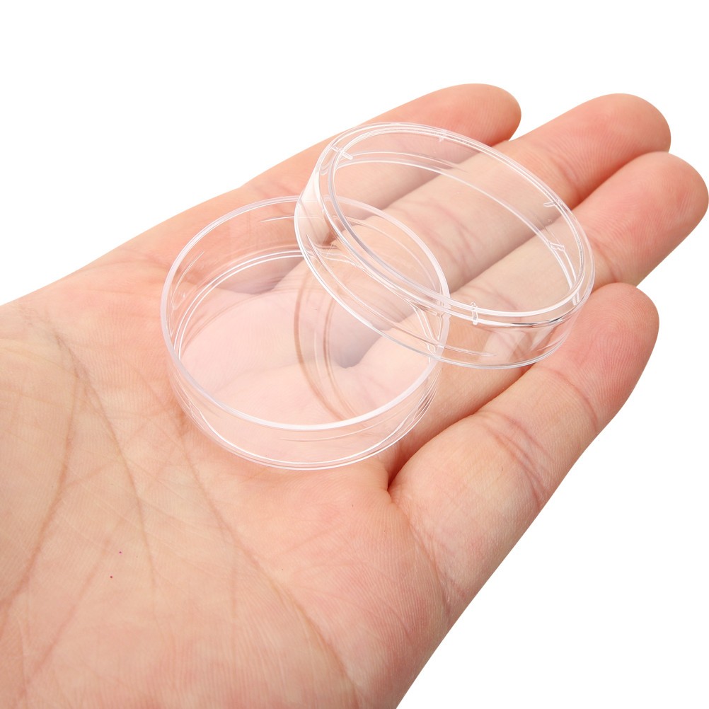 Set of 3 Science Experiment Supply Plate Petri Dish with Agar Culture