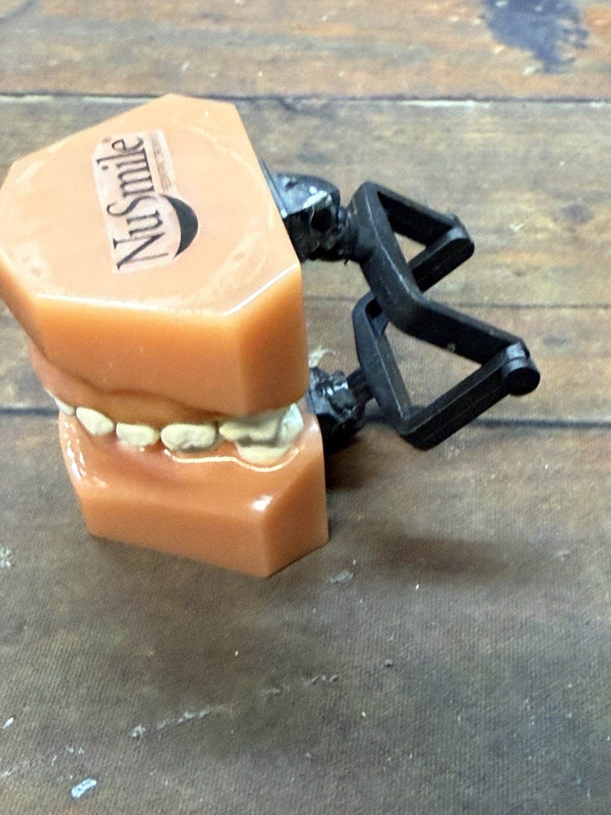 NuSmile Dental Typodont Training Model Consultation Teeth Display w/ Bench Clamp