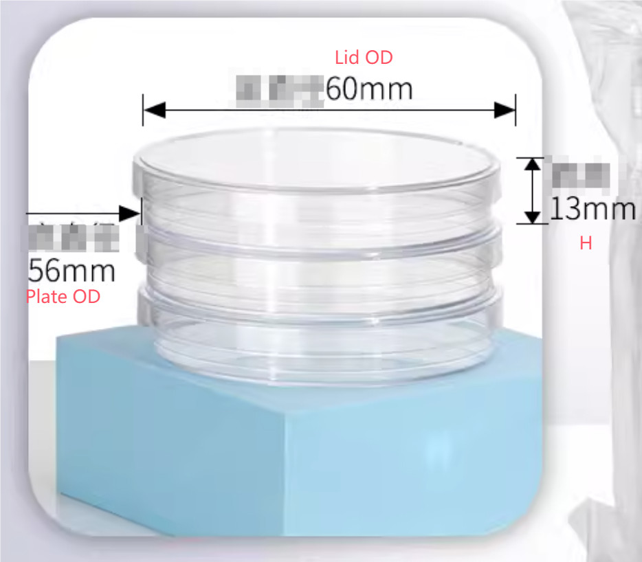 Lab Plastic Cell sterile Culture dish Petri dish with lid set 60 70 90mm 10PCS
