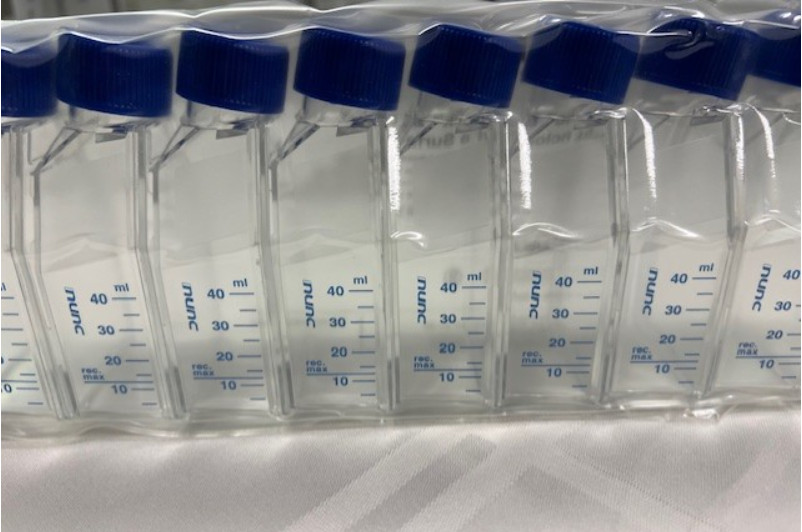 156367 Thermo Sci Nunc EasYFlask, 25 cm SQ Cell Culture, 200/case FREE Shipping