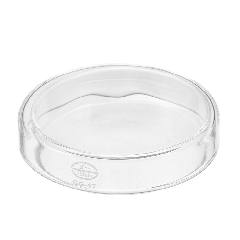 1 Set Durable Transparent Glass Petri Dishes for Scientific Culture Applications