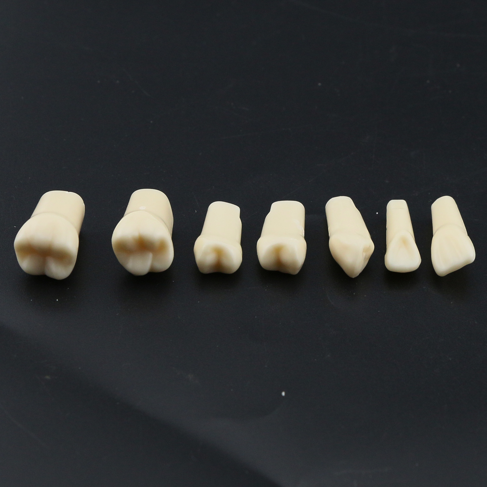 US Dental Replacement Typodont Teeth Set of 28 Teeth for Kilgore Nissin 200