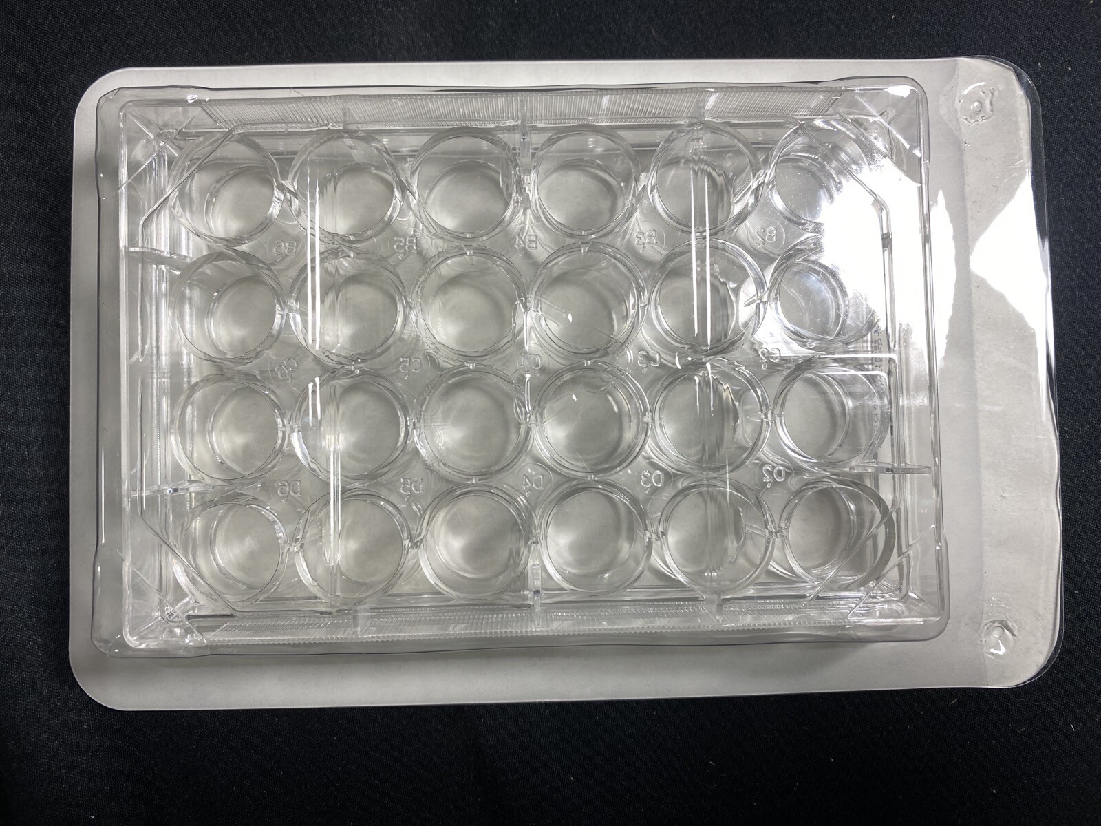 VWR Polystyrene 24-Well Sterile Treated Cell Culture Plates 10062-896 (10/cs)