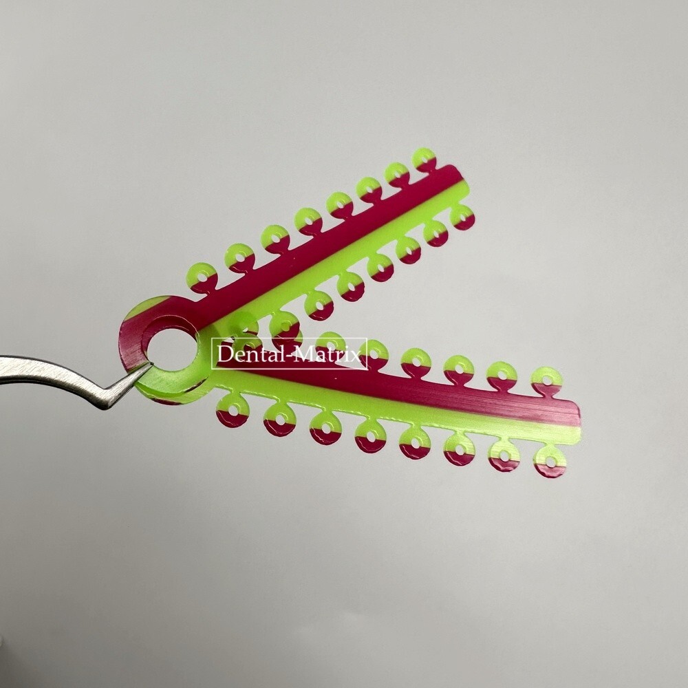 320pcs Dental Orthodontic Elastic Rubber Ligature Tie Rubber Bnads Double Color