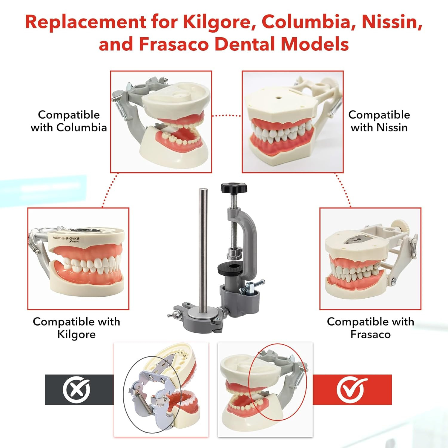 Dental Typodont Teeth Model 32 Removable Teeth 360 Rotating Training Mount Set