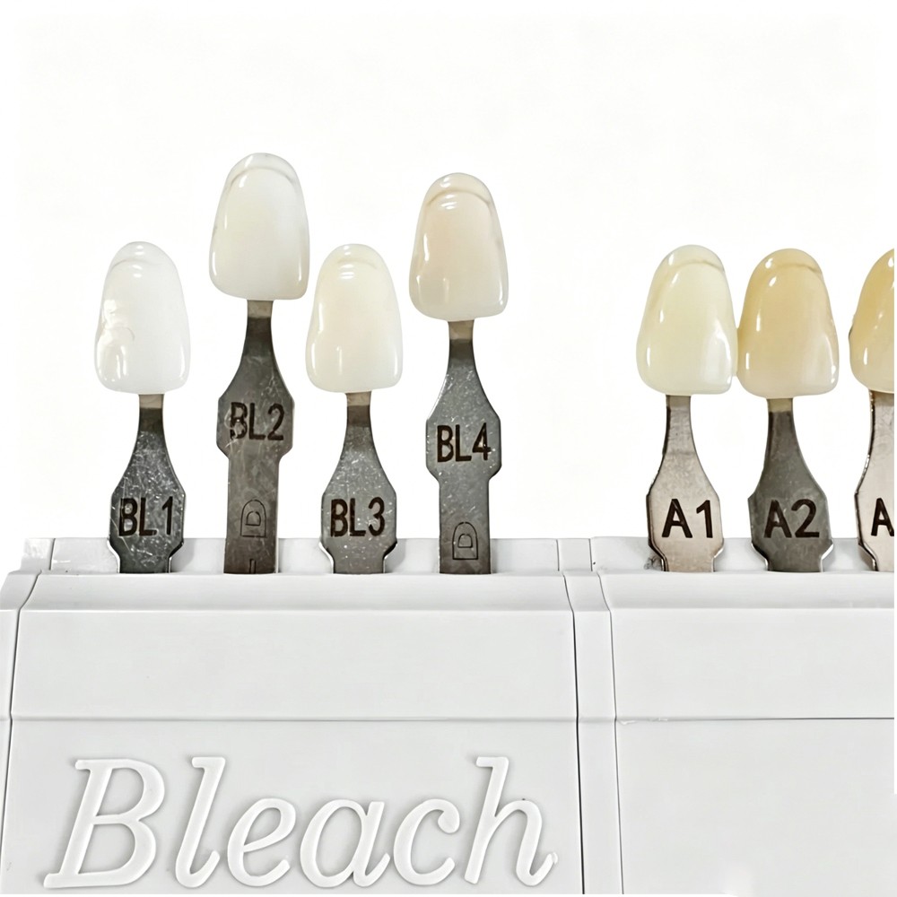 New 1 Set For VITA Classical Dental Shade Guide with Bleached Shades Clip