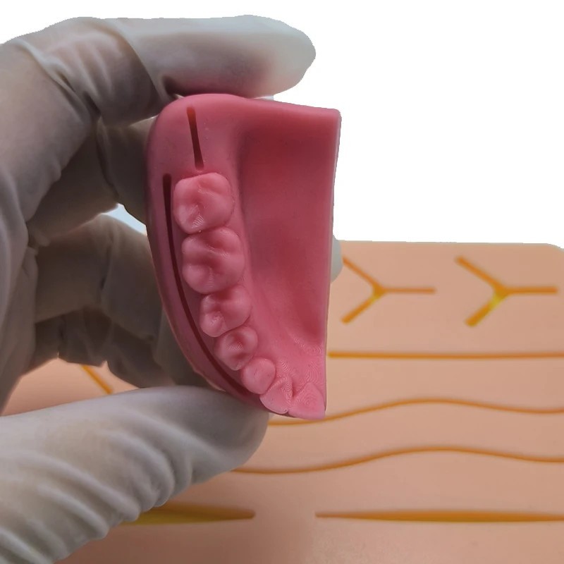 Dental Oral/Gum Suture Training Pad Silicone Periodontitis Suture Model