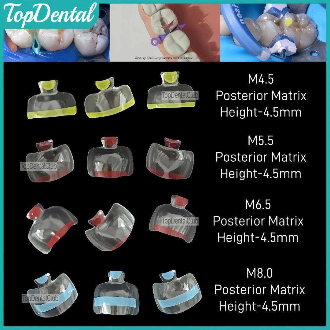 USA Clear Matrix Dental Anterior Posterior Transparent BT Matrices Fit BioClear