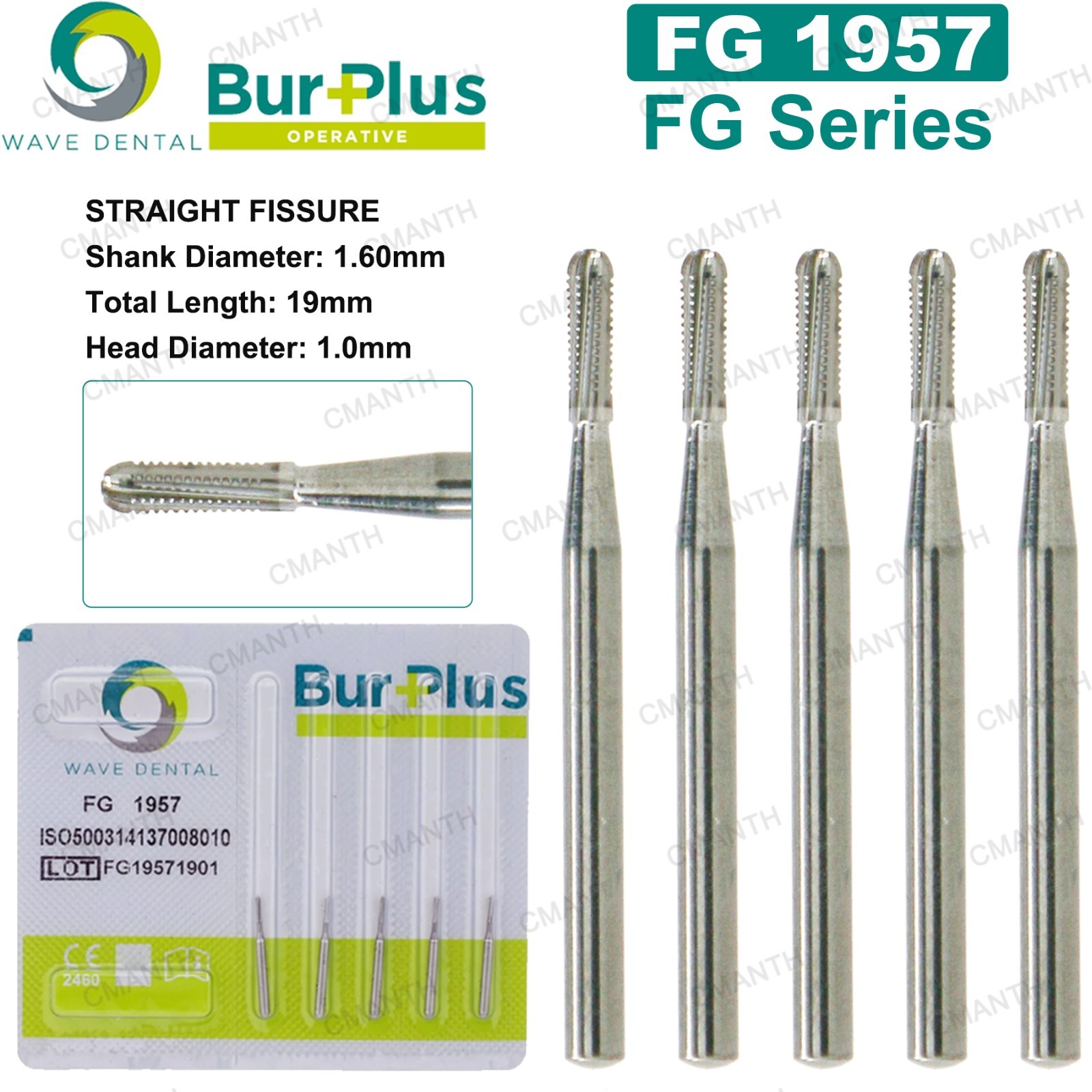WAVE Dental Carbide Burs Metal Cutting Surgical Bur for High Speed FG1957 1958