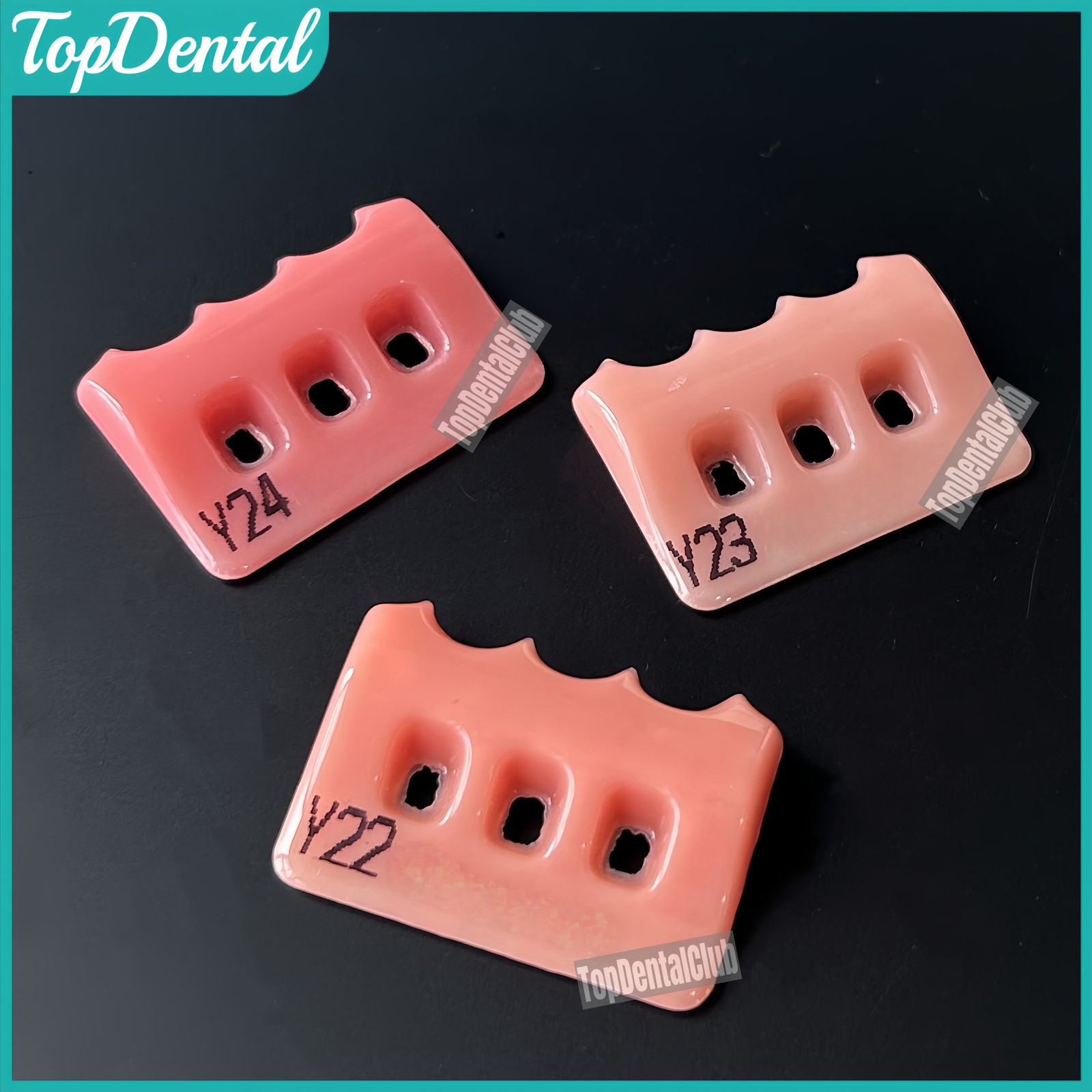 Dental SHOFU Gum Shade Gingiva Color Plate Indicator Tri-Color PN7040 Gummy Kit