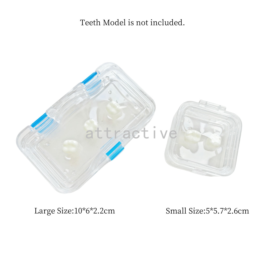 Denture Case Retainer Acrylic Jewelry Storage Box Hinged Display Dental Membrane