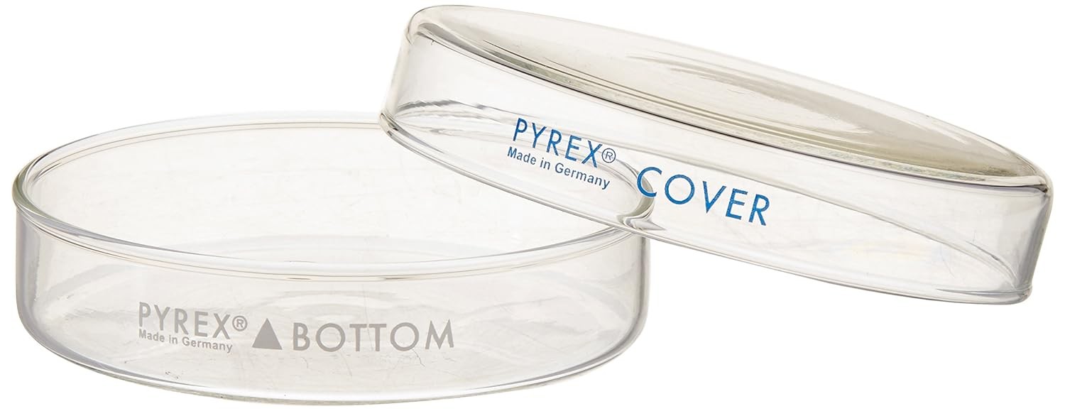 PYREX 3160-102 Culture Petri Dish, 100mm x 20mm