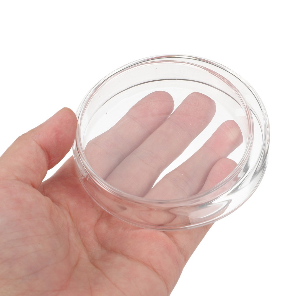 1 Set Reusable Glass Petri Dishes for Laboratory Culture with Clear Visibility