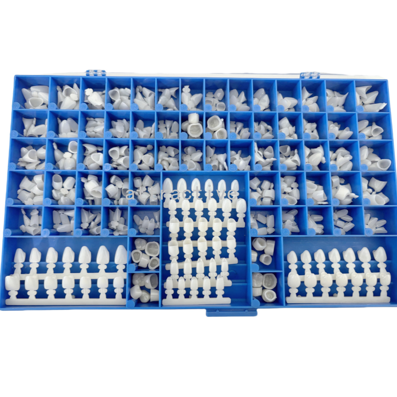 Temporary Dental Crowns 66Size Crown Mold Guides Premolar Molar Anterior Cuspid