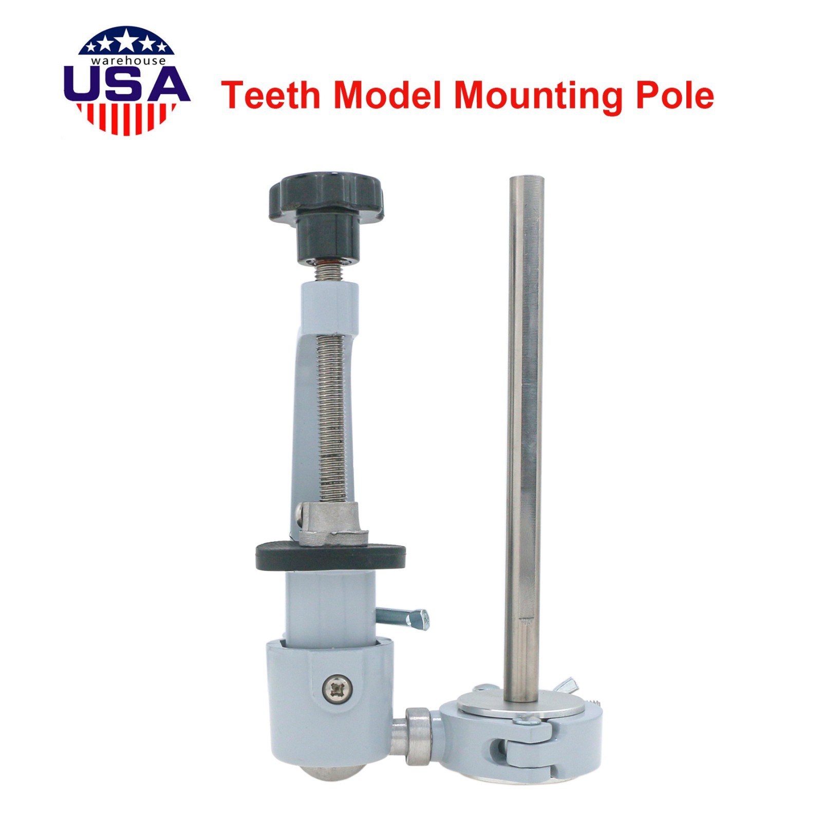 Fit 200/500 Type Kilgore NISSINDental Typodont Teeth Model With Removable Teeth