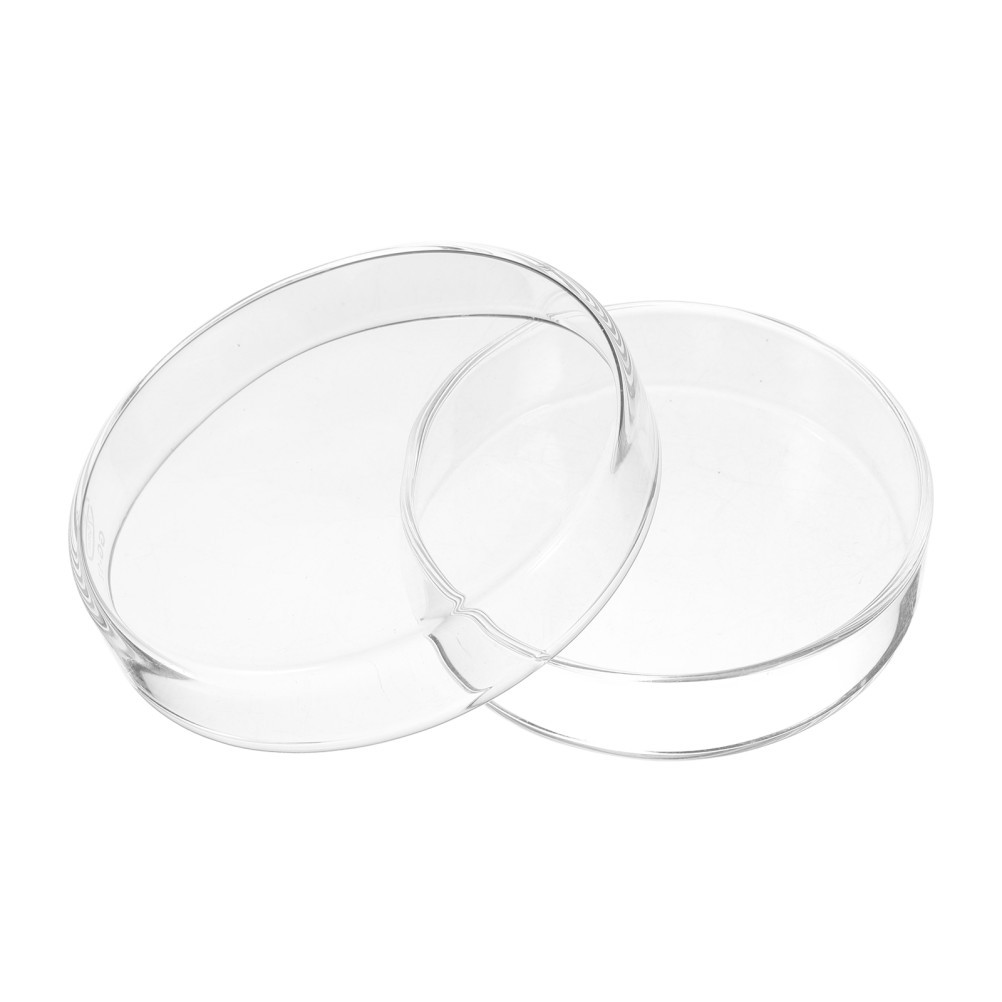 1 Set Durable Transparent Glass Petri Dishes for Scientific Culture Applications