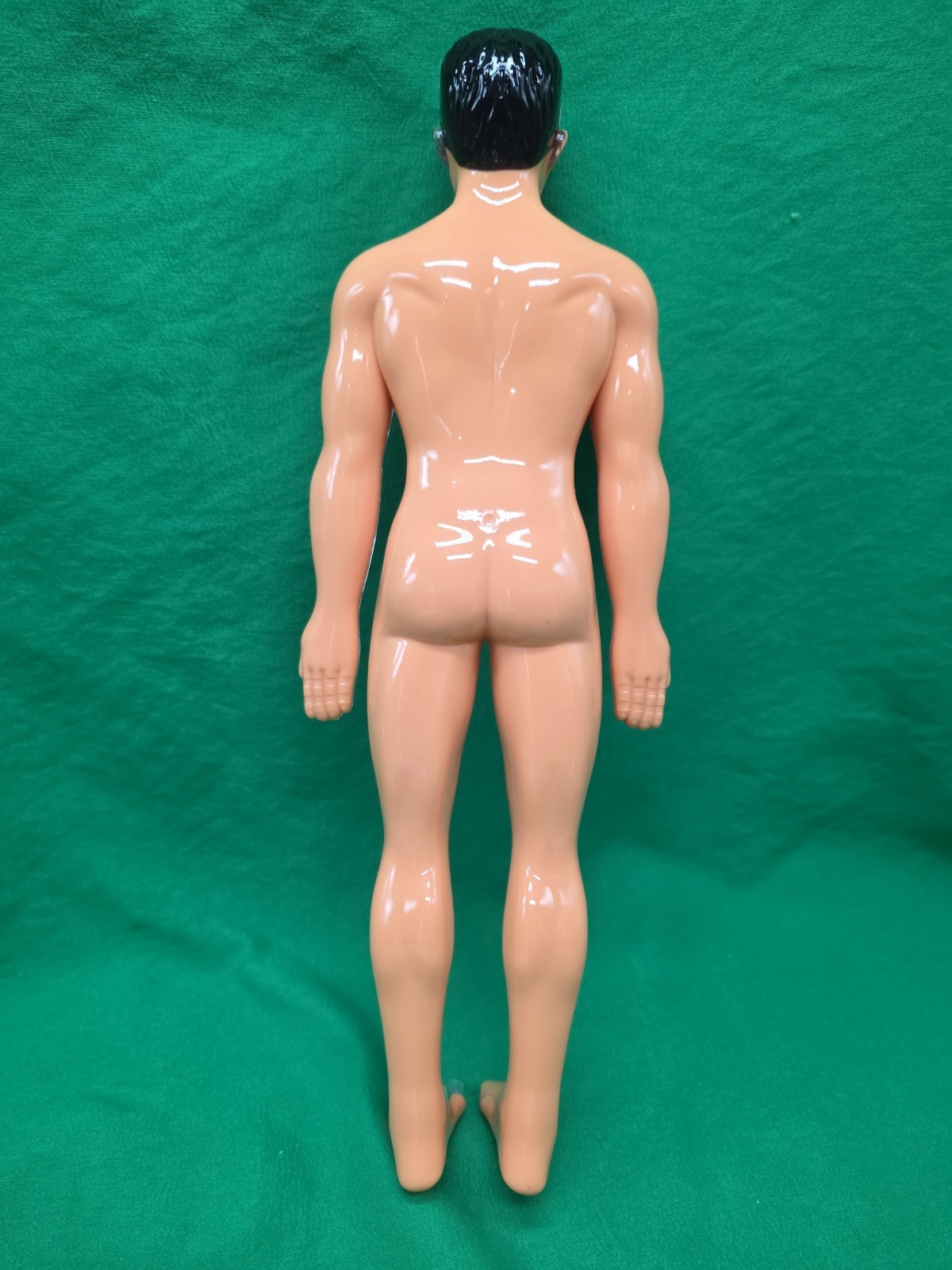Human Body Model Anatomy Heart Skeleton Lungs Student 11.5″