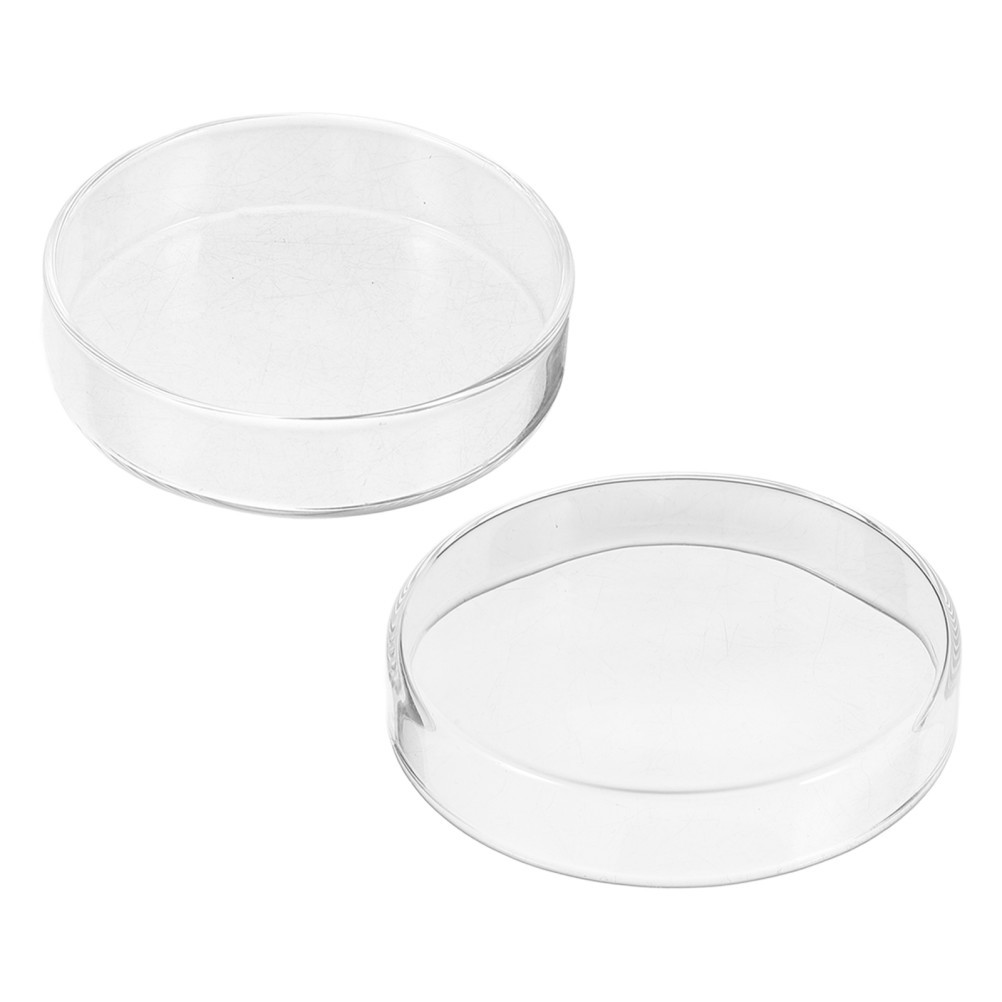 1 Set Durable Glass Petri Dishes with Lids for Laboratory Culture and Science