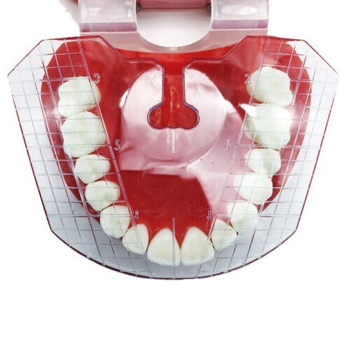 Dental Guide Template Plate For Complete Denture False 135℃ Teeth Arrangement
