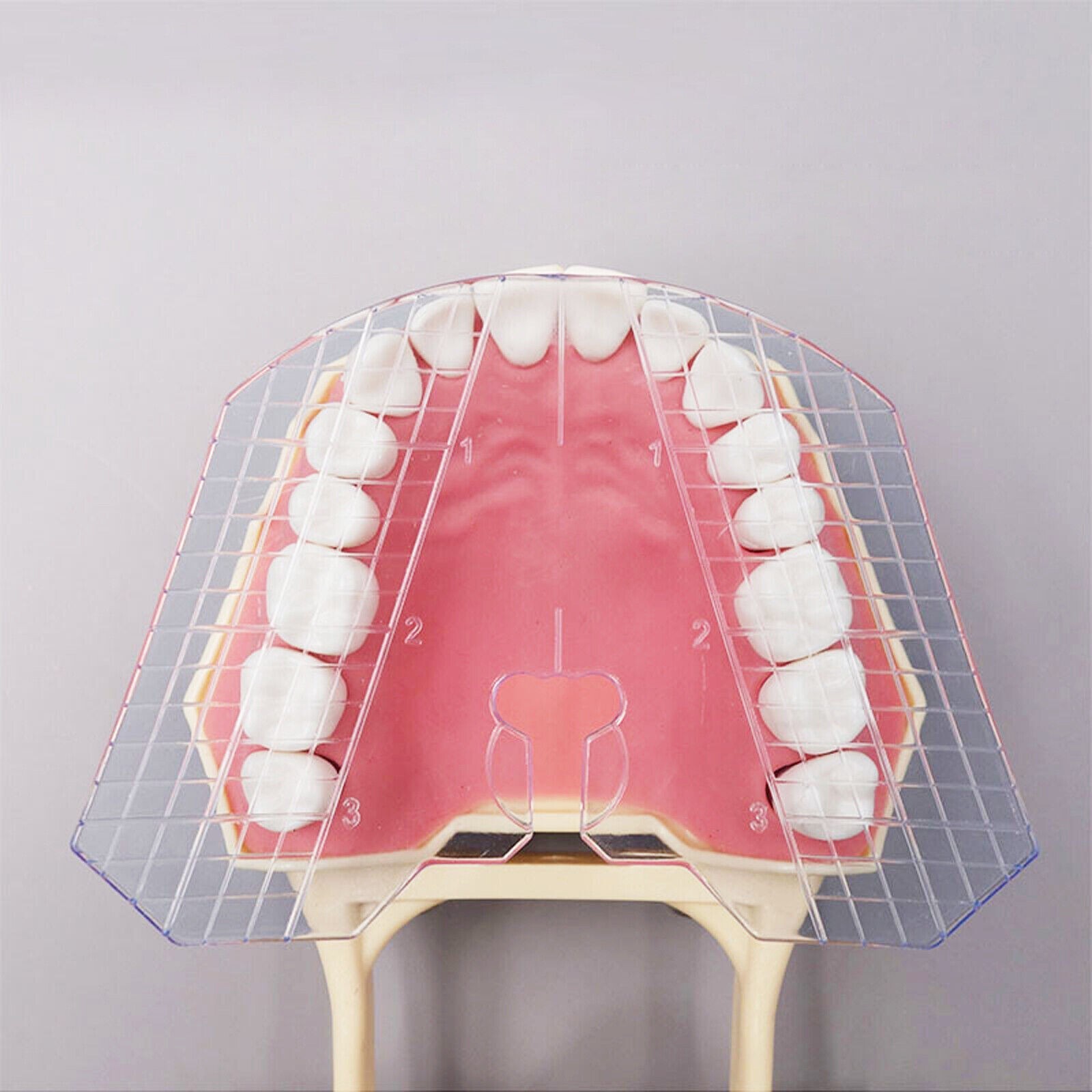 Dental Guide Template Plate For Complete Denture False 135℃ Teeth Arrangement